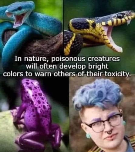 FB_IMG_1712712108168