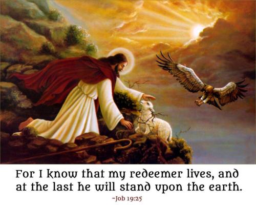 photo_2024-04-03_21-22-49