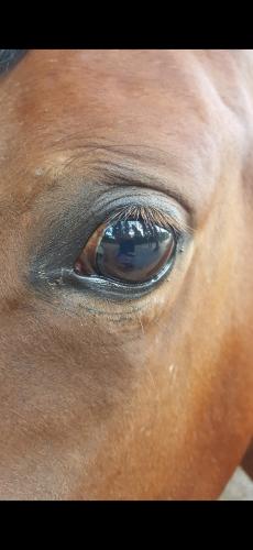 Screenshot_20240411_181951_Photos