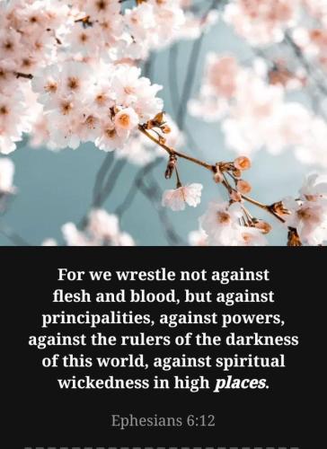 photo_2024-04-27_23-27-13