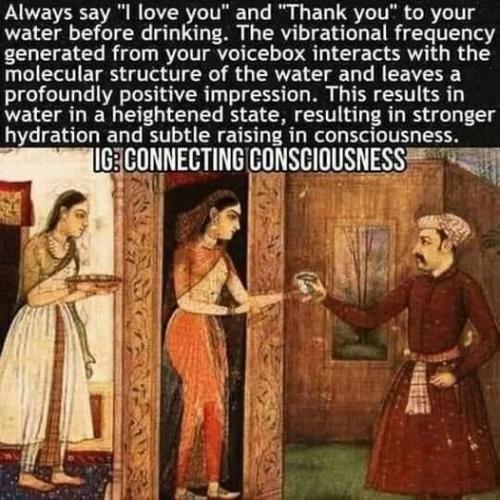 ,    416302419_10789439998