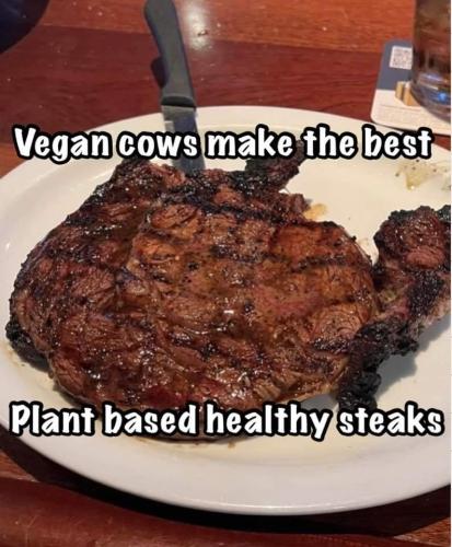 plant based
