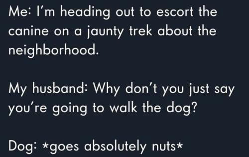 3f1d89a1827049aad62b3a2b85c34ec9