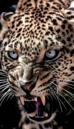 img-d18c0705
