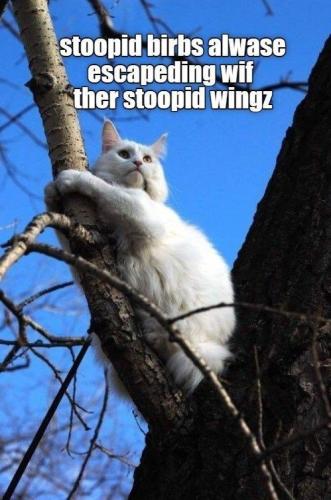 38911d2683d3c8a1b03e80fb1c481360