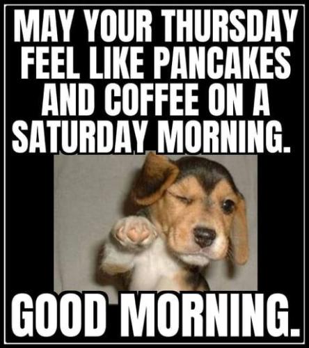 68747470733a2f2f73332e616d617a6f6e6177732e636f6d2f776174747061642d6d656469612d736572766963652f53746f7279496d6167652f6e775951714a6575736a4c3656673d3d2d3731372e313734303130313130346432656261623236393939313334353031322e6a7067