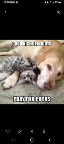 Screenshot_20231105-001905_Gallery