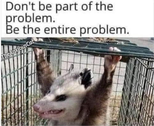 434384001_10231728568948081_2791946100677266817_n