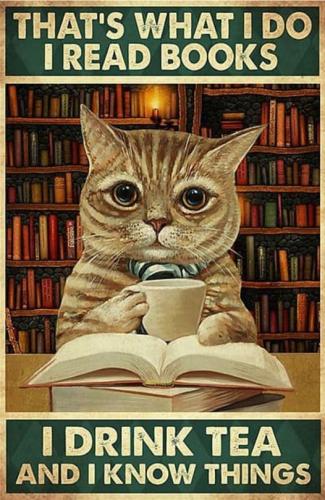 433010087_835941461878688_1422181137378059075_n