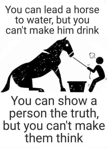 868861BF-FB1F-40E8-A02D-94DFB6532EF2