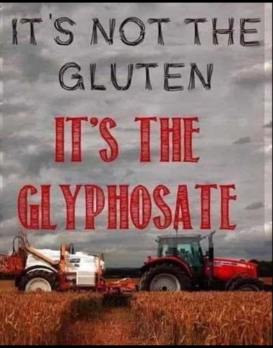 Screenshot_2024-04-22-20-32-05_kindlephoto-284062413