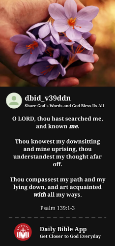 2024-04-191713514413783