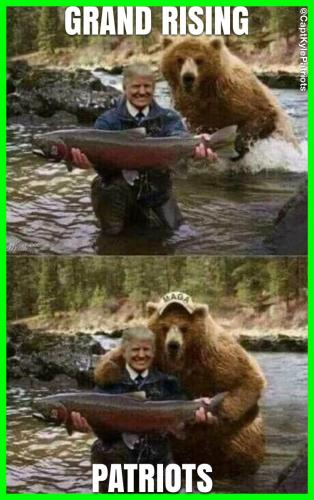 IMG_20240408_171352_695