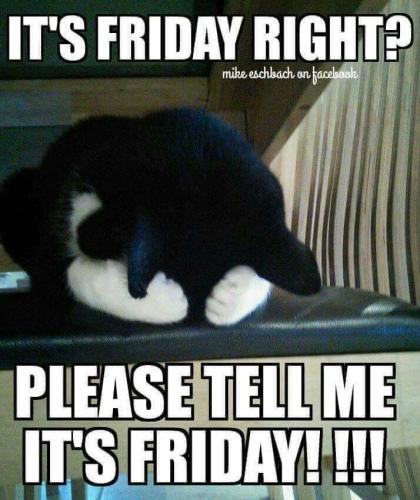 3b29ea0a5ddb7cfa5bf938e6b03bb358