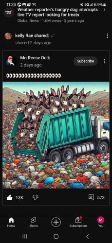 Screenshot_20240414_112313_YouTube