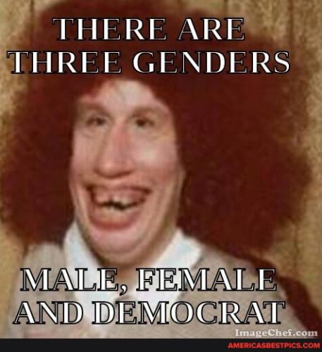 68b6a50c91ca4475fec723d51b427955eb391af1e79a49ca0d726c99db695274_1