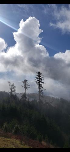 Screenshot_20240403_041139_Photos