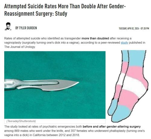 IMG_20240403_022658_104