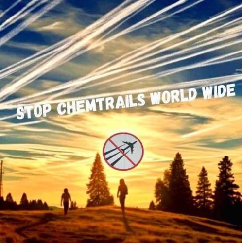 photo_2024-04-16_19-29-57