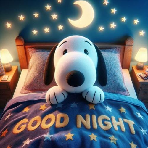 Good Night Puppy