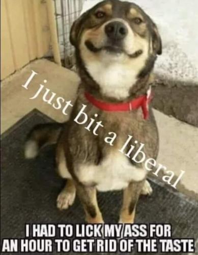 FB_IMG_1712532014617