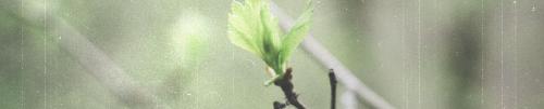 odb20240412
