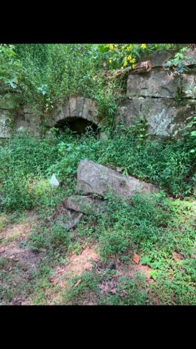 23FAD0EC-6A44-4BC3-BBB9-9647C54489C8