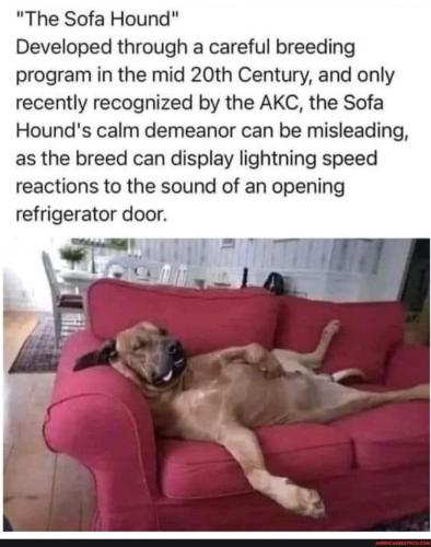 4d9378f7579431fd16fe0dc0e68aa8990aa9fb2bbab98e8b28af931c7e5fd67e_1