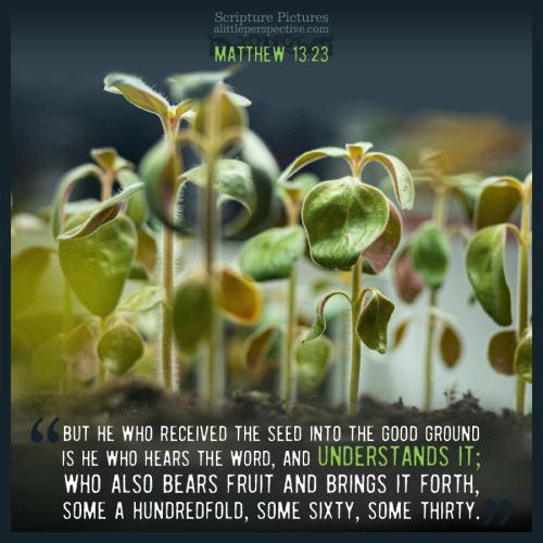 FAITH - Matthew 13.23 KJV