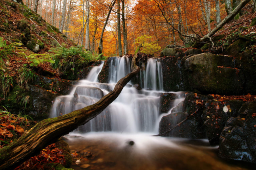 img-e80e170f