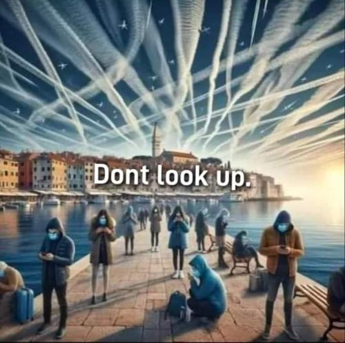 FB_IMG_1707146203719