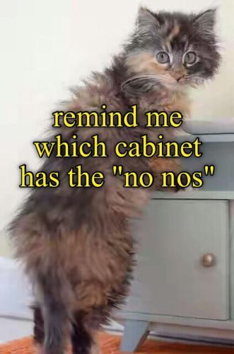 62f4851345b567718ad118a621ebdc71