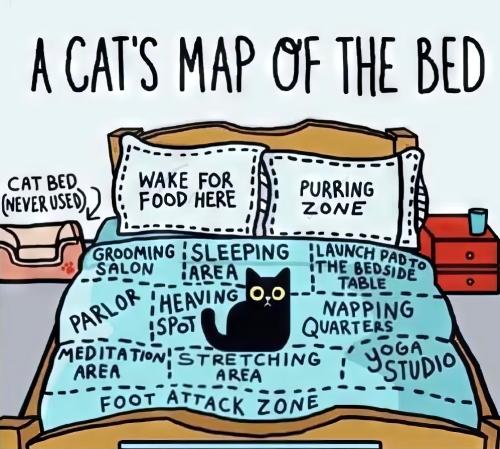 catmap