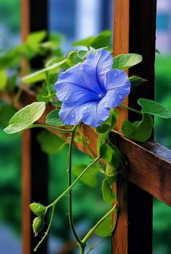 img-b8e64e18