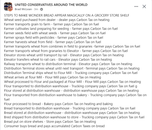 carbon tax on everything