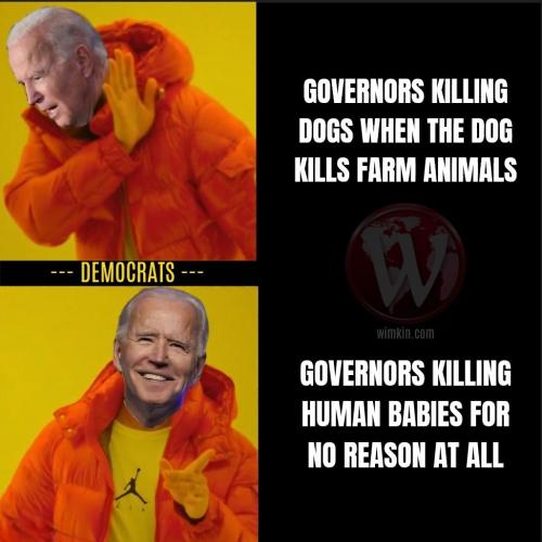Governor killing dogs wimkin