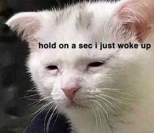 f516bf8b6529d2a40ea2639901fef0f1