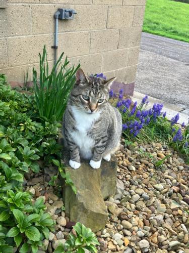 04A12F8F-0A75-4BCB-8178-47D9283E6375