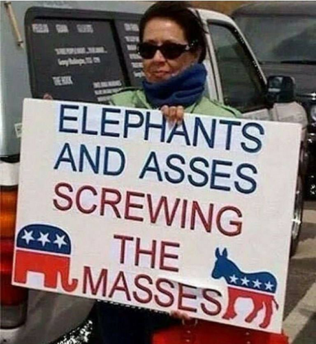 Elephant asses