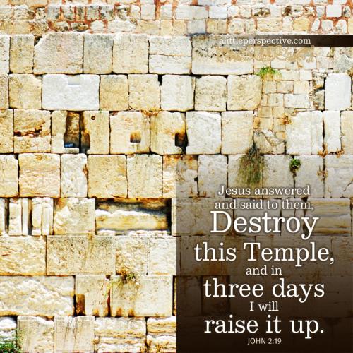 FAITH - John 2.19 KJV