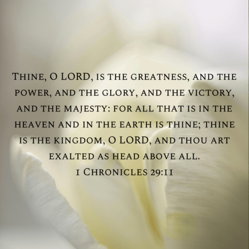 11:03:18 GMT-0400 (Eastern Daylight Time).image