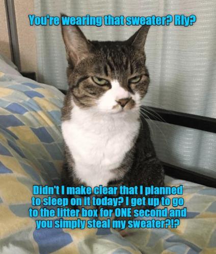 6602f5f374b62943ecb488f2e0a073b5