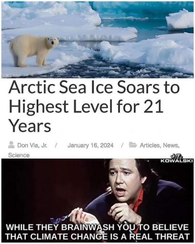 arctic sea level