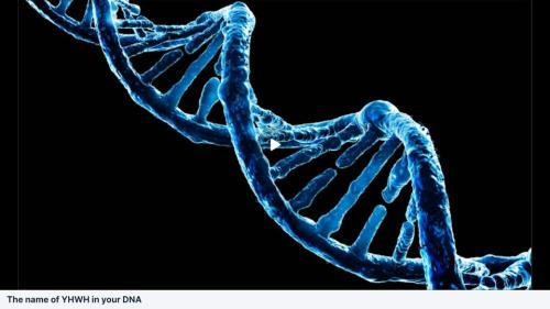 Amazing Name of YHWH in your DNA