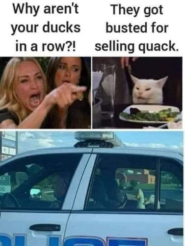 437067240_7894753793882439_5091899448406995192_n