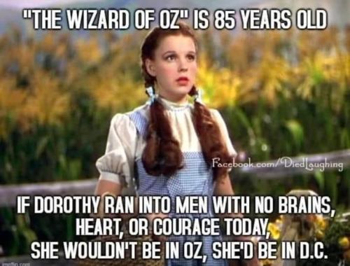 7A967107-65A3-4244-A6A8-385F52E3AEB2-5723-00000604F1D981FC