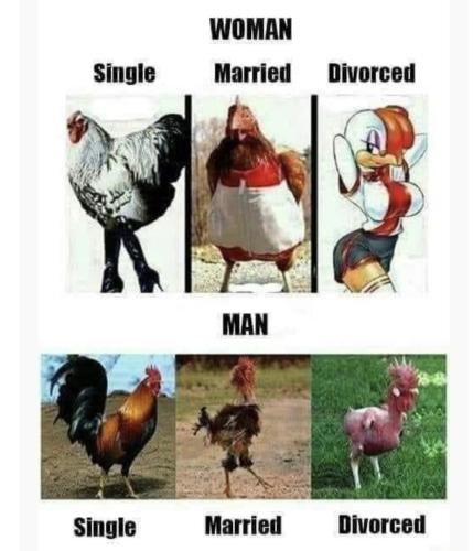 Screenshot_20240403_021904_Outlook