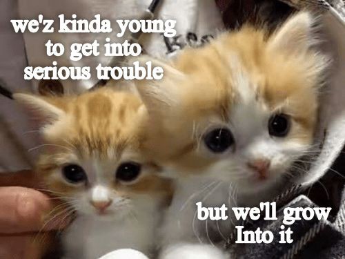 29129717d850711c4ff9d965a97680bb