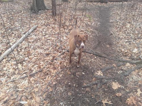 IMG_Tue Nov 30 10_25_25 EST 2021