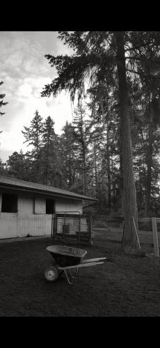 Screenshot_20240411_181911_Photos